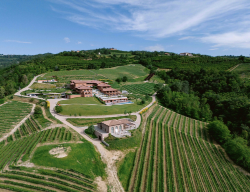 LANGHE VINEYARDS